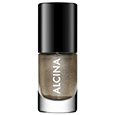 Lak na nehty Nail Colour Metal bronze