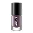 Lak na nehty Nail Colour Winter plum